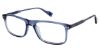 Picture of Ben Sherman Eyeglasses NEWGATE