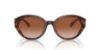 Picture of Coach Sunglasses HC8364U