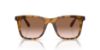 Picture of Coach Sunglasses HC8374U