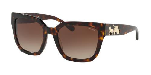 Picture of Coach Sunglasses HC8249