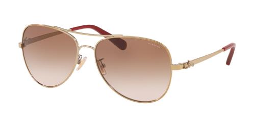 Picture of Coach Sunglasses HC7074