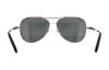 Picture of Coach Sunglasses HC7074