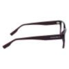 Picture of Converse Eyeglasses CV5017
