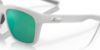 Picture of Costa Del Mar Sunglasses 6S9029