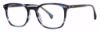 Picture of GVX Eyeglasses GVX581