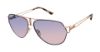 Picture of L.A.M.B. Sunglasses LA583