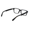 Picture of Lacoste Eyeglasses L2910