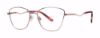 Picture of Modern Metals Eyeglasses BRYNLEE