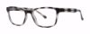 Picture of Modern Plastics I Eyeglasses Joshua