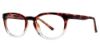 Picture of Modern Plastics I Eyeglasses Genius