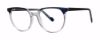 Picture of Modern Plastics II Eyeglasses REVIVAL