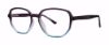 Picture of Modern Plastics II Eyeglasses Plaza