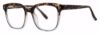 Picture of Modern Plastics II Eyeglasses LEGENDARY