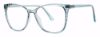 Picture of Modern Plastics II Eyeglasses IMMENSE