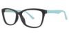 Picture of Modern Plastics II Eyeglasses Appreciate