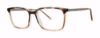 Picture of Modern Times Eyeglasses HAGGLE