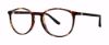Picture of ModZ Eyeglasses Denton