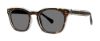 Picture of Modz Sunz Sunglasses SIESTA