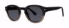 Picture of Modz Sunz Sunglasses MARBELLA
