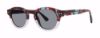 Picture of Modz Sunz Sunglasses MARBELLA