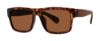 Picture of Modz Sunz Sunglasses POMPANO