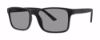 Picture of Modz Sunz Sunglasses Clifton