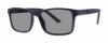 Picture of Modz Sunz Sunglasses Clifton