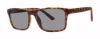 Picture of Modz Sunz Sunglasses Clifton