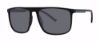 Picture of Modz Sunz Sunglasses Bondi