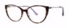 Picture of Modz Titanium Eyeglasses VALUABLE