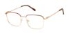 Picture of New Globe Eyeglasses M5005