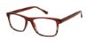 Picture of New Globe Eyeglasses M441