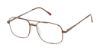 Picture of New Globe Eyeglasses M591-P