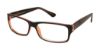 Picture of New Globe Eyeglasses M426