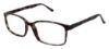 Picture of New Globe Eyeglasses M424