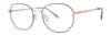 Picture of Paradigm Eyeglasses 21-01