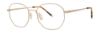 Picture of Paradigm Eyeglasses 21-01