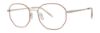 Picture of Paradigm Eyeglasses 21-01
