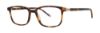 Picture of Paradigm Eyeglasses 21-08