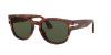 Picture of Persol Sunglasses PO3231S