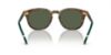 Picture of Polo Sunglasses PH4206