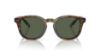 Picture of Polo Sunglasses PH4206