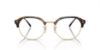 Picture of Ray Ban Eyeglasses RX7229