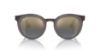 Picture of Ray Ban Sunglasses RB3710