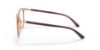 Picture of Ray Ban Eyeglasses RX7190