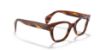 Picture of Ray Ban Eyeglasses RX0880