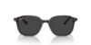 Picture of Ray Ban Sunglasses RB2193
