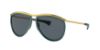 Picture of Ray Ban Sunglasses RB2219