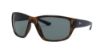 Picture of Ray Ban Sunglasses RB4300