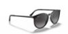 Picture of Ray Ban Sunglasses RB4274